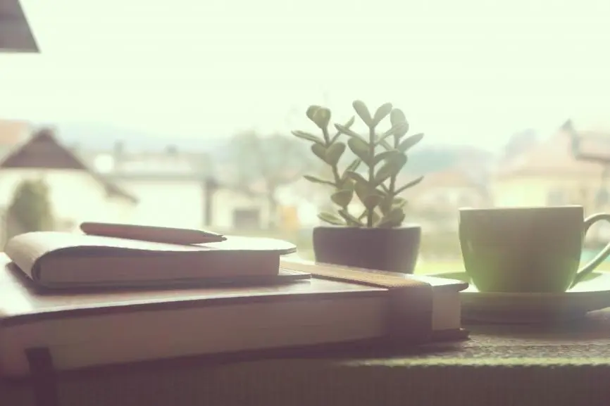 Books, a small plant, and a cup of tea on a sunny windowsill.